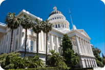 Senate Fellowship Program