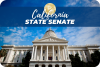 CA Condition of the (Senate) File